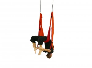 spine flexibility